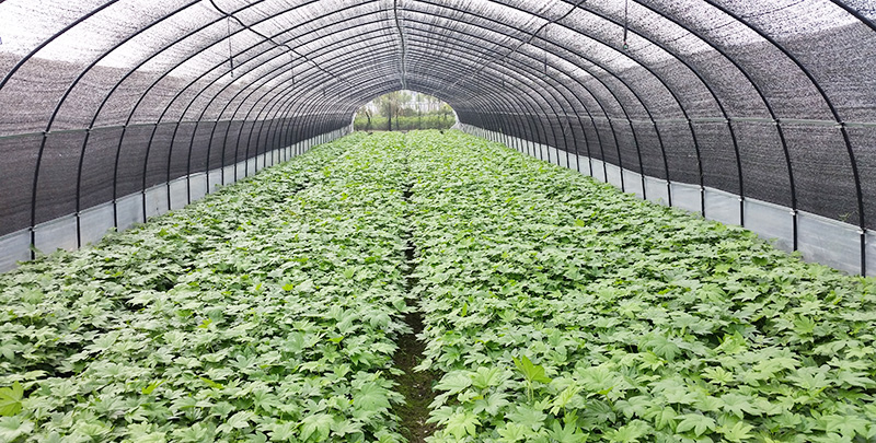 乐天堂fun88·(中国区)官方网站