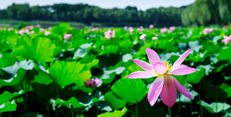 乐天堂fun88·(中国区)官方网站